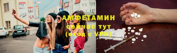 винт Алзамай