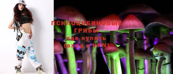 прущая мука Алексин