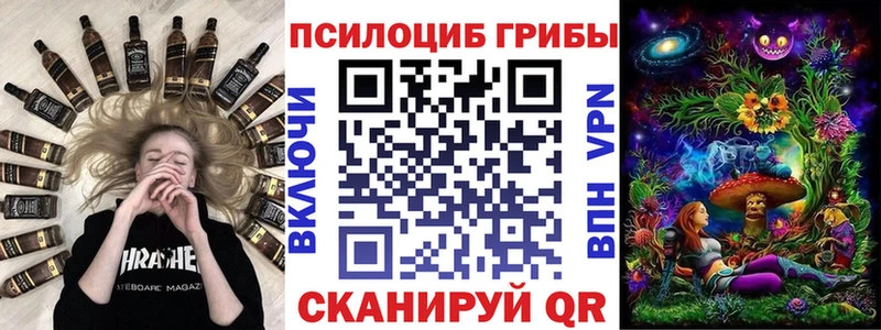Псилоцибиновые грибы Psilocybe  где купить наркотик  kraken маркетплейс  Неман 